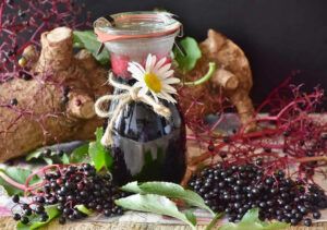 Benefits Of Elderberry Supplements