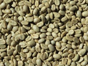 Green Coffee Benefits And Side Effects