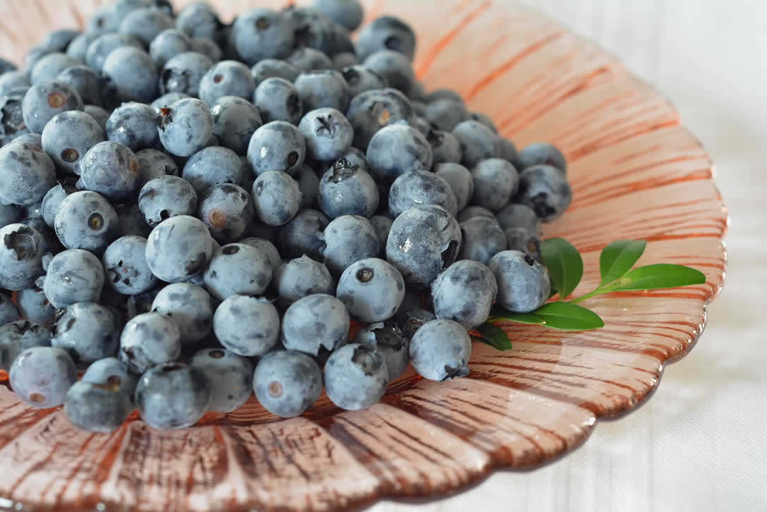 The Benefits Of Bilberry Supplements
