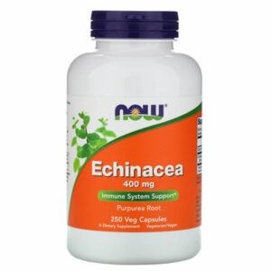 echinacea